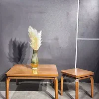 جلو مبلی چوبی رنگی|مبلمان خانگی و میز عسلی|چهاردانگه (تهران), |دیوار