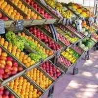 پخش میوه وسفیجات برا مراسمات