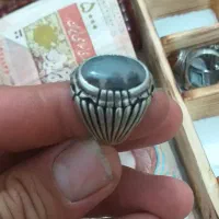 تعدادی فقط با موتور