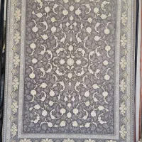 از تنگگ سوم، زیبایی را به خانه ببرید