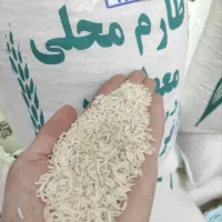 برنج طارم محلی و پاکستانی|خوردنی و آشامیدنی|مشهد, موسوی قوچانی|دیوار