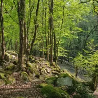 زمین ۲۰۰ متری داخل بافت