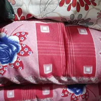 ۴عددتُشَک نوی نو نو