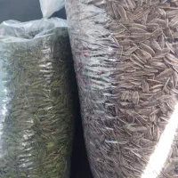 پخش تخمه افتابگردون تخمه کدو درجه یک خارجی