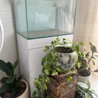 آکواریوم