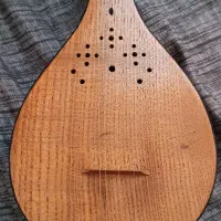 سه تار کاملا نو|سازهای سنتی|کرج, شاهین‌ویلا|دیوار