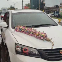 جیلی امگرند7. اتومات