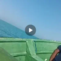 موتور قایق ۴۰پارسیان|قایق و سایر وسایل نقلیه|بوشهر, |دیوار