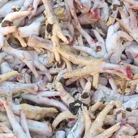 غذای سگ اشغال گوشت ضایعات مرغ تازه