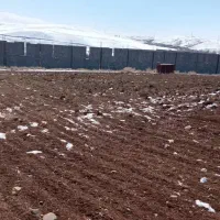 فروش دامپروری صنعنی|پیشفروش املاک|دیواندره, |دیوار