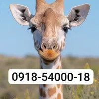 سیم کارت رند0918