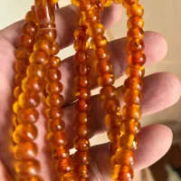 تسی کهنه بوی،شدید درشت ۳ تا|بدلیجات|کرج, باغستان|دیوار