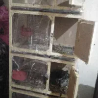 جفت گاه ۴ طبقه