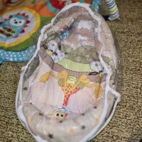 آغوشی سویسی