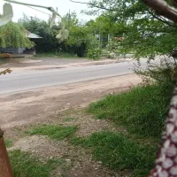 ویلا ۲۲۰۰ متر لب اسفالت ۱۲۰۰متر مسکونی کامل