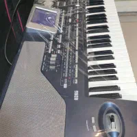 korg pa800