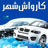 نیروی کار در کارواش