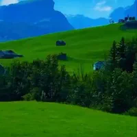 درخواست کمک عاجل