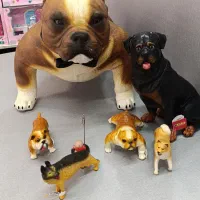 فروش تک وعمده اسباب بازی وهدایای مدرسه