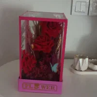 دوتا گل مصنوعی|گل مصنوعی|گرگان, |دیوار