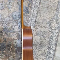 گیتار m5 برند پارسی|گیتار، بیس، امپلیفایر|گرگان, |دیوار