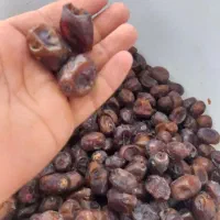 حرما بریم و گنطار درجه یک|خوردنی و آشامیدنی|شادگان, |دیوار