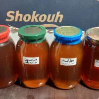 حبوبات درجه یک، عسل ،انواع برنج ایرانی و خارجی|خوردنی و آشامیدنی|ورامین, ورامین|دیوار