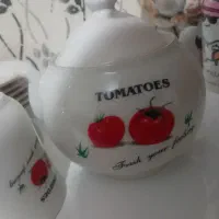 ظرف پذیرایی ۶ نفره