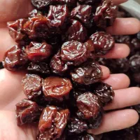 فروش آلوچه طلای و آلوچه سیاه