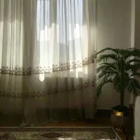 فروش ۲ عدد پرده پذیرایی|پرده، رانر، رومیزی|مهاباد (آذربایجان غربی), |دیوار