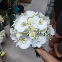 گلفروشی|گل و گیاه طبیعی|اهواز, گلستان|دیوار
