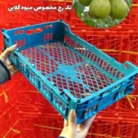 سبد میوه