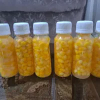 طعمه ماهیگیری|ماهیگیری|اصفهان, عمان سامانی|دیوار