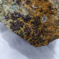 سنگ شجرطلایی|زیورآلات و اکسسوری|نیشابور, شهرک اندیشه|دیوار