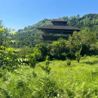 رهن باغ پرتقال تامسون