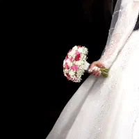 فیلم برداری و عکاسی و کلیپ