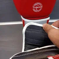 دستکش بوکس(Furtex)A++