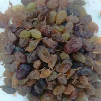 کشمش آفتابی طبیعی