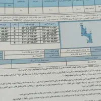 معدن طلا|فروش زمین و ملک کلنگی|اهواز, زندوکیلی|دیوار