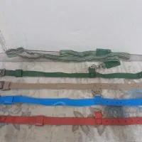 قلاده سگ کوچک