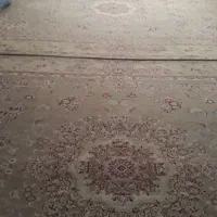 دو عدد فرش ۱۲ متری رنگ روشن