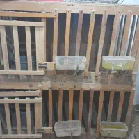 قفس مرغ و خروس