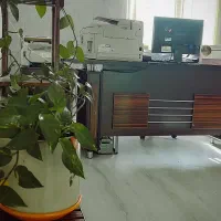 وکیل/ملکی کلاهبرداری       بدون نگرانی مشاوره کنید