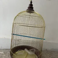 قفس پرنده
