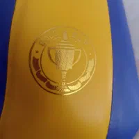 فروش توپ|ورزشهای توپی|سنندج, |دیوار