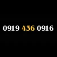 0919.436.0916