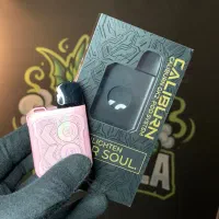 پاد و ویپ دستگاه دائمی کالیبرن gk2(پادزیلا)