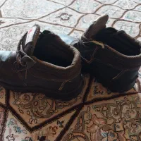 کفش کار|کیف، کفش، کمربند|شیراز, شهرک گلها|دیوار