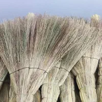 تعدا250جارو|جاروبرقی، جارو شارژی، بخارشو|کلاله, |دیوار