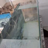 اکواریوم